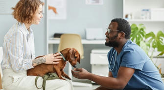 How to Alleviate Medical Costs and Ensure Peace of Mind for You and Your Pet